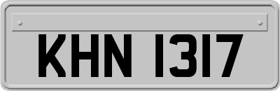 KHN1317