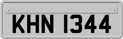 KHN1344