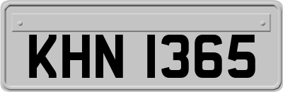 KHN1365