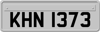 KHN1373