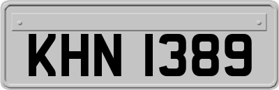 KHN1389
