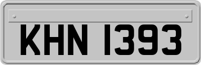 KHN1393