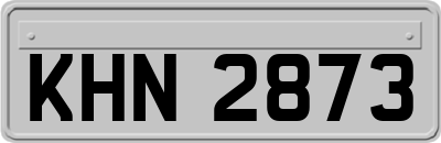 KHN2873