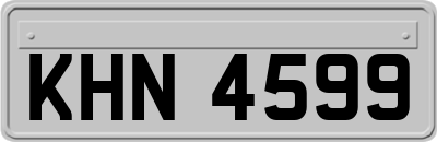 KHN4599