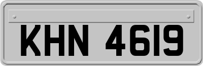 KHN4619
