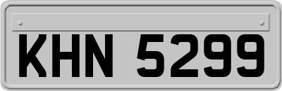 KHN5299