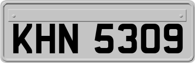 KHN5309