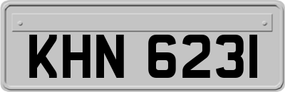 KHN6231