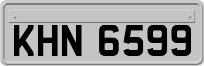 KHN6599