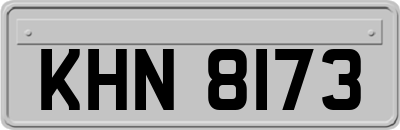 KHN8173