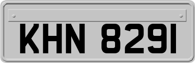 KHN8291