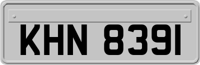 KHN8391
