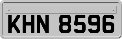 KHN8596