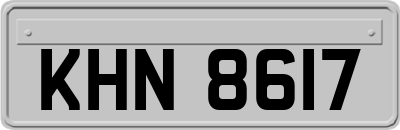 KHN8617
