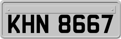 KHN8667