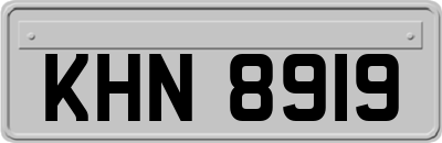 KHN8919