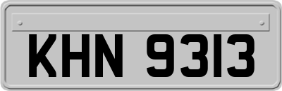 KHN9313