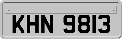 KHN9813