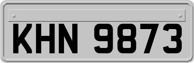 KHN9873
