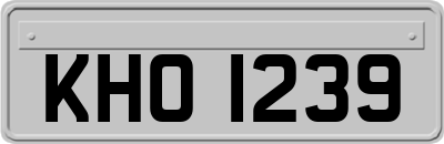 KHO1239
