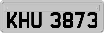 KHU3873