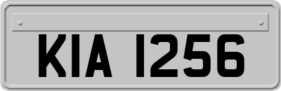 KIA1256
