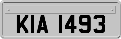 KIA1493