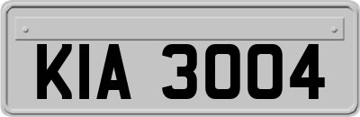 KIA3004