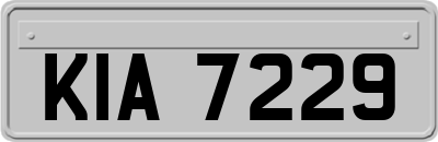 KIA7229