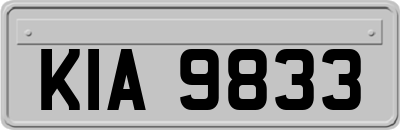 KIA9833