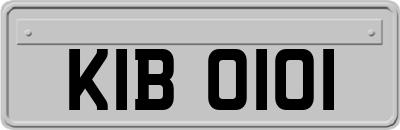 KIB0101