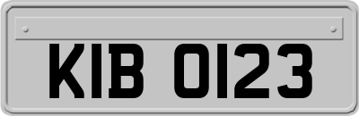 KIB0123