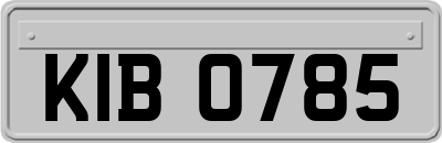 KIB0785