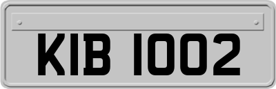 KIB1002