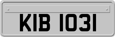 KIB1031