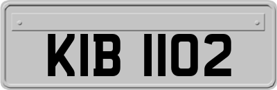 KIB1102