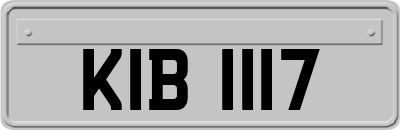 KIB1117