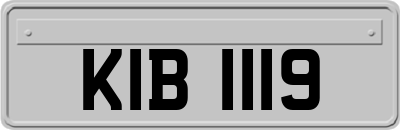 KIB1119