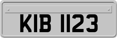 KIB1123