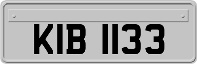 KIB1133