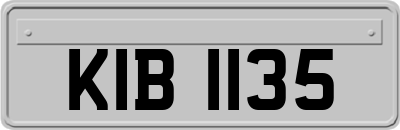 KIB1135