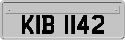 KIB1142