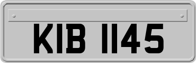 KIB1145