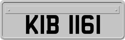 KIB1161