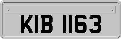 KIB1163