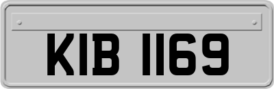 KIB1169