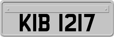 KIB1217