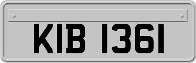 KIB1361