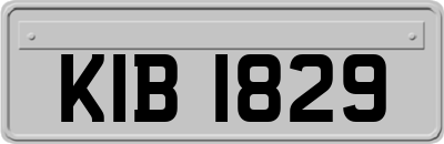 KIB1829