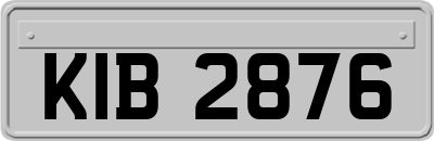 KIB2876